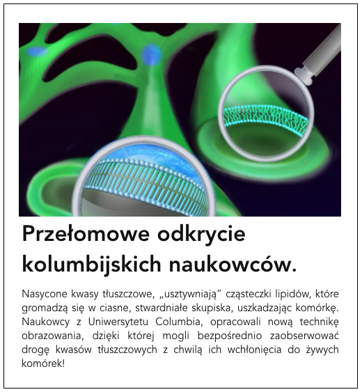 Nasycone kwasy tłuszczowe