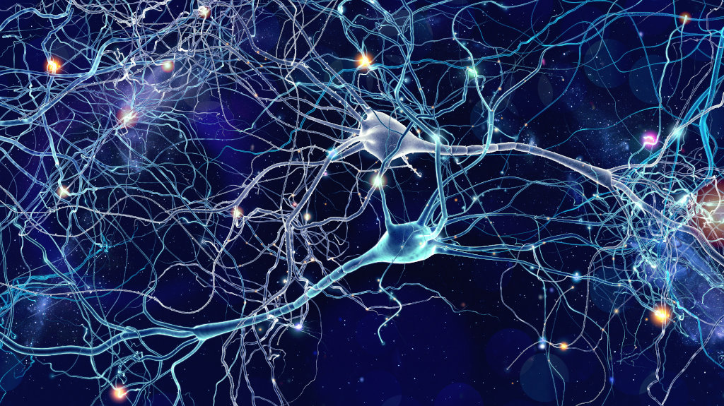 Wizualizacja komórek nerwowych i połączeń między nimi