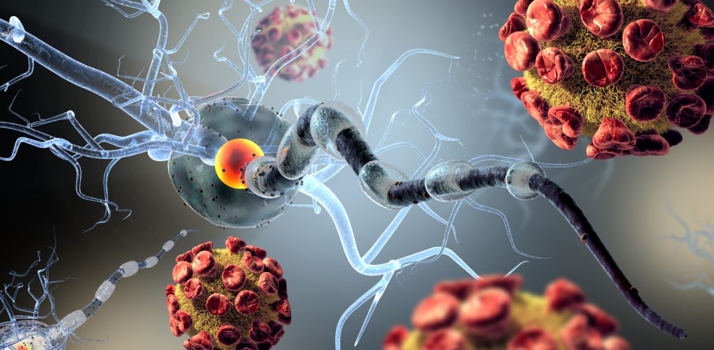 Koronawirus atakujący komórki nerwowe - wizualizacja