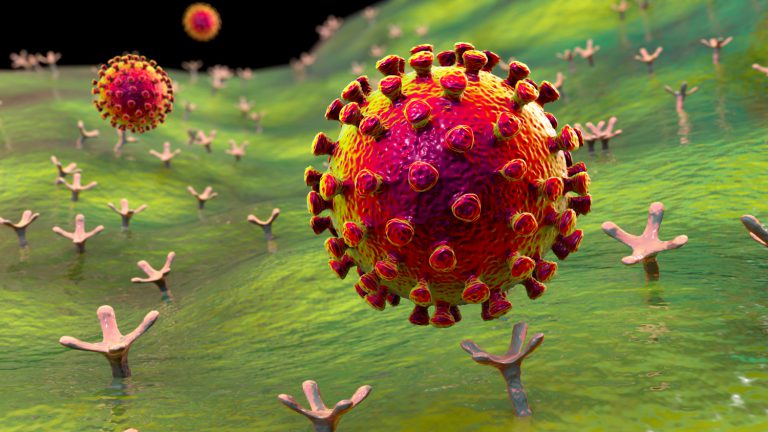 Koronawirus SARS-CoV-2 przyłączający się do receptorów ACE-2 – w ten sposób wirus wnika do organizmu
